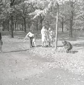 Park Na Niskich Łąkach - żabia ścieżka