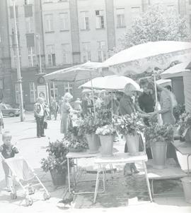 Stoiska wrocławskich kwiaciarek na pl. Solnym