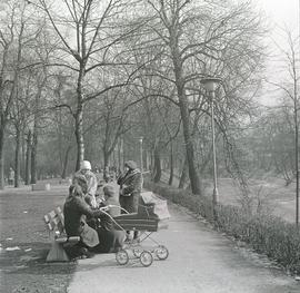 Spacer w Parku Mikołaja Kopernika we Wrocławiu