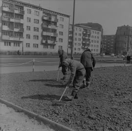 Porządkowanie terenów zielonych