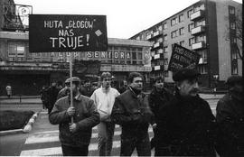 Protest przeciw budowie huty ołowiu