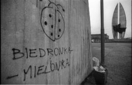 Biedronka - mielonka