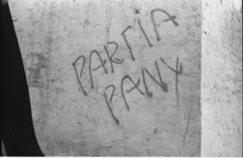 Partia Pany