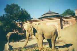 Ogród Zoologiczny we Wrocławiu