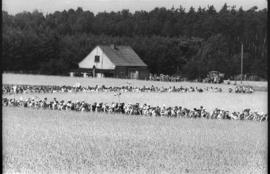 Pielgrzymka wrocławska na Jasną Górę