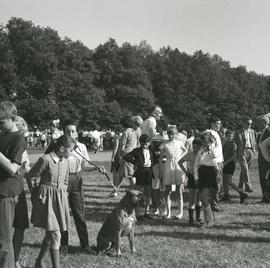 Wystawa psów we Wrocławiu