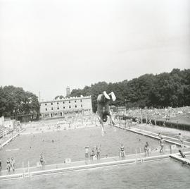 Basen Olimpijski we Wrocławiu