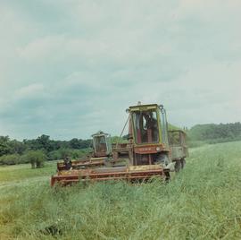 Sieczkarnia samobieżna Z-310