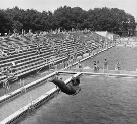 Basen Olimpijski we Wrocławiu