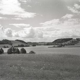 Jezioro, Szwajcaria Kaszubska