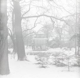 Pagoda w Ogrodzie Japońskim we Wrocławiu