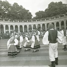 XV Wrocławskie Święto Kwiatów