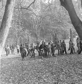 Park pałacowy w Rogalinie