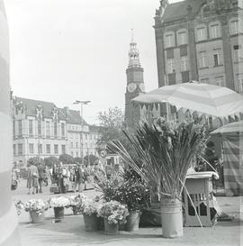 Stoiska wrocławskich kwiaciarek na pl. Solnym